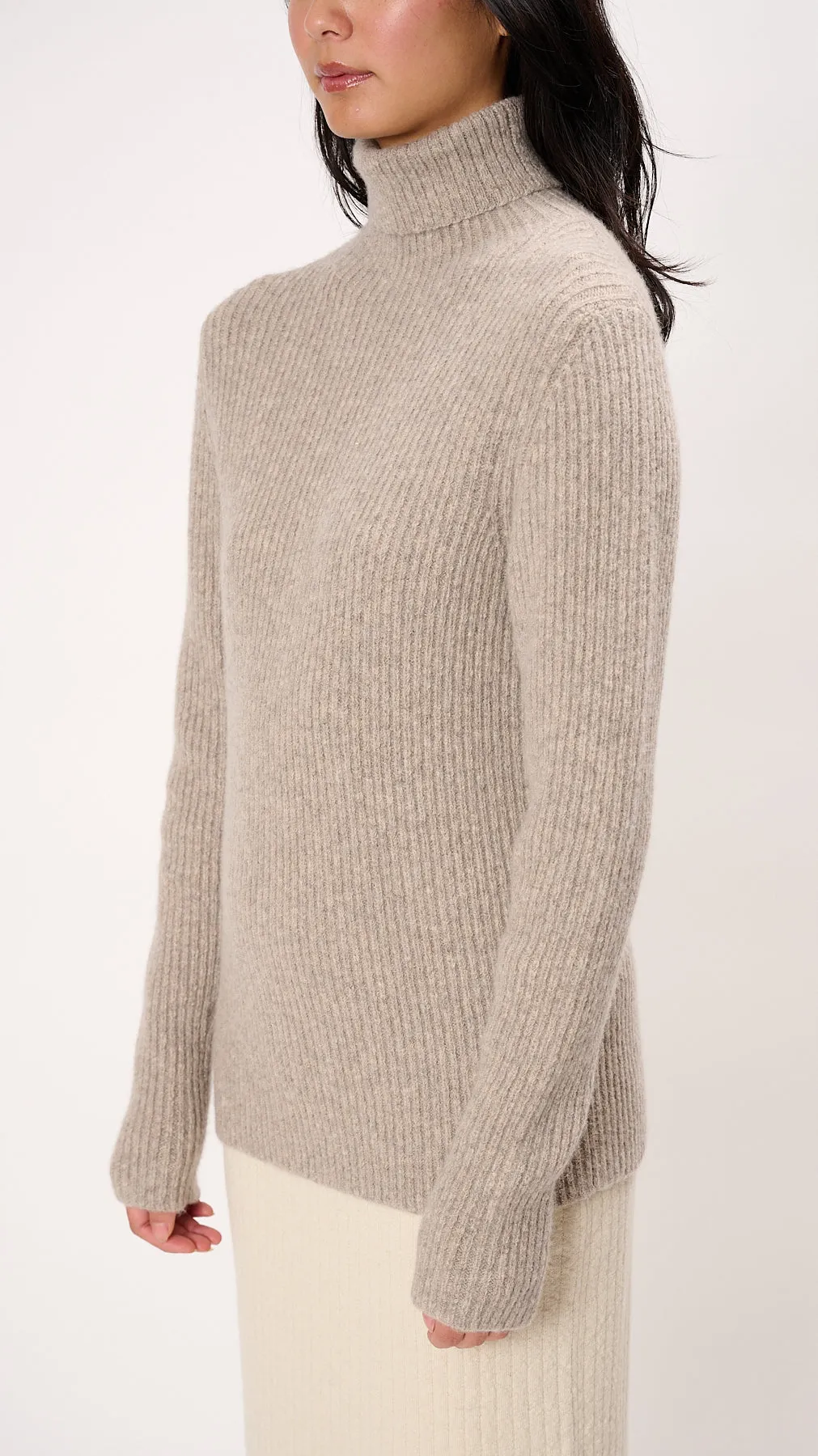 Soft Rib Turtleneck in Dust